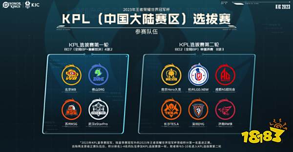 惊叹于猛龙 惊叹于猛龙