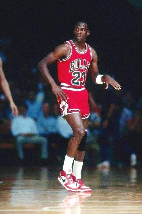 得到了成长 得到了成长