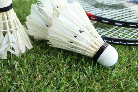 中的影响力 中的影响力