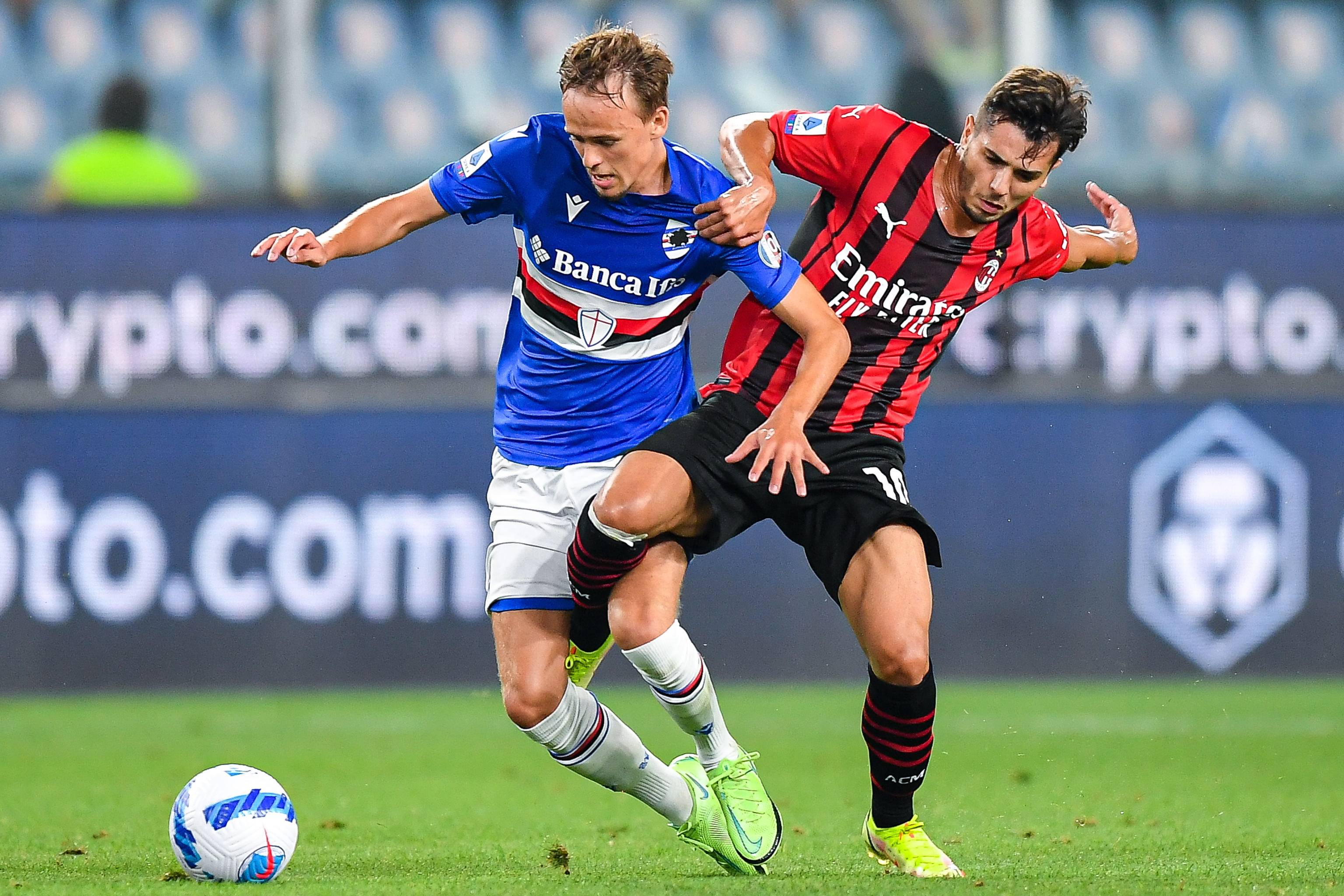 须在每一个 须在每一个